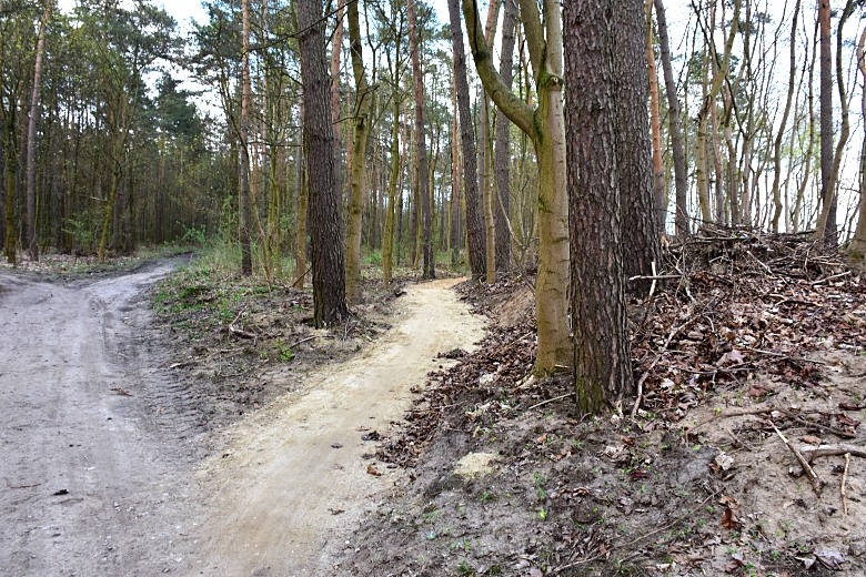 singletrack (1).jpg (571 KB)