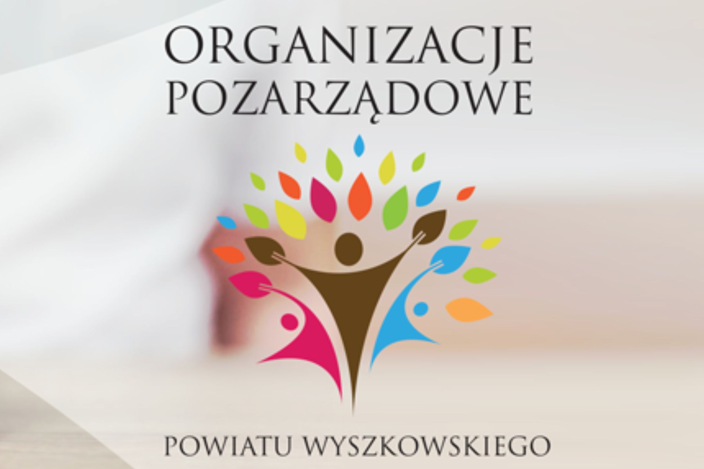Ikona do artykułu: Centrum wsparcia dla NGO`s z terenu Powiatu Wyszkowskiego