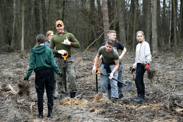 Ikona do artykułu: Młodzież ze „Skłodowskiej” i „Kopernika” zasadziła las!