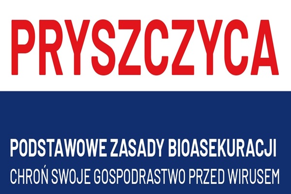 Ikona do artykułu: Pryszczyca – monitoruj, reaguj, chroń